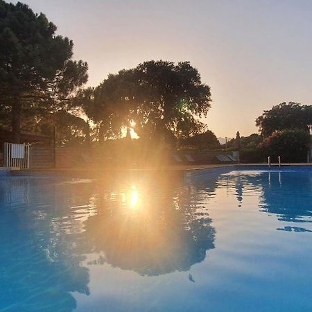 Fiori Di Cala Rossa Appartement T3 Dans Residence Hotelliere Chez Virginie レクシ エクステリア 写真
