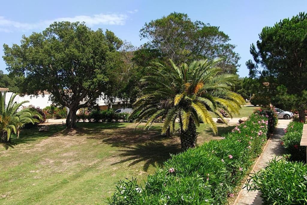Fiori Di Cala Rossa Appartement T3 Dans Residence Hotelliere Chez Virginie レクシ エクステリア 写真
